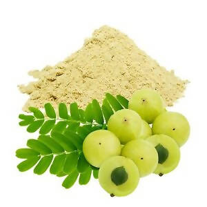 Image 1 of 250 gm for the product Hebsur Herbals Amla Powder