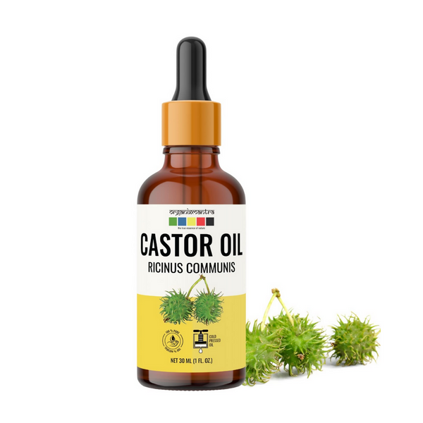 https://cdn.shopify.com/s/files/1/1857/6931/files/vTtvrGyfls.png?v=1723201836