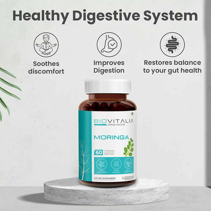 https://cdn.shopify.com/s/files/1/1857/6931/files/vTz58R7jRl.jpg?v=1727415707