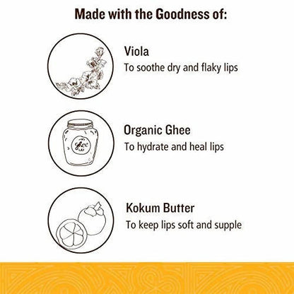 https://cdn.shopify.com/s/files/1/1857/6931/products/vU2tjmqF9L.jpg?v=1629448519