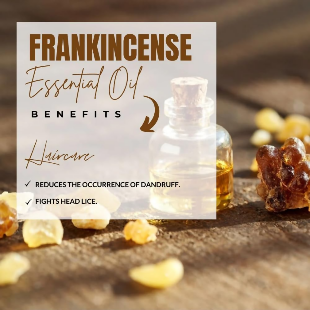https://cdn.shopify.com/s/files/1/1857/6931/files/vXZk9FASeu.png?v=1729518204