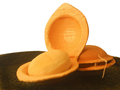 https://cdn.shopify.com/s/files/1/1857/6931/files/vXjsmWDN7Y.jpg?v=1737347511