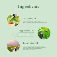 https://cdn.shopify.com/s/files/1/1857/6931/products/vY7VcZdk5r.jpg?v=1648460454