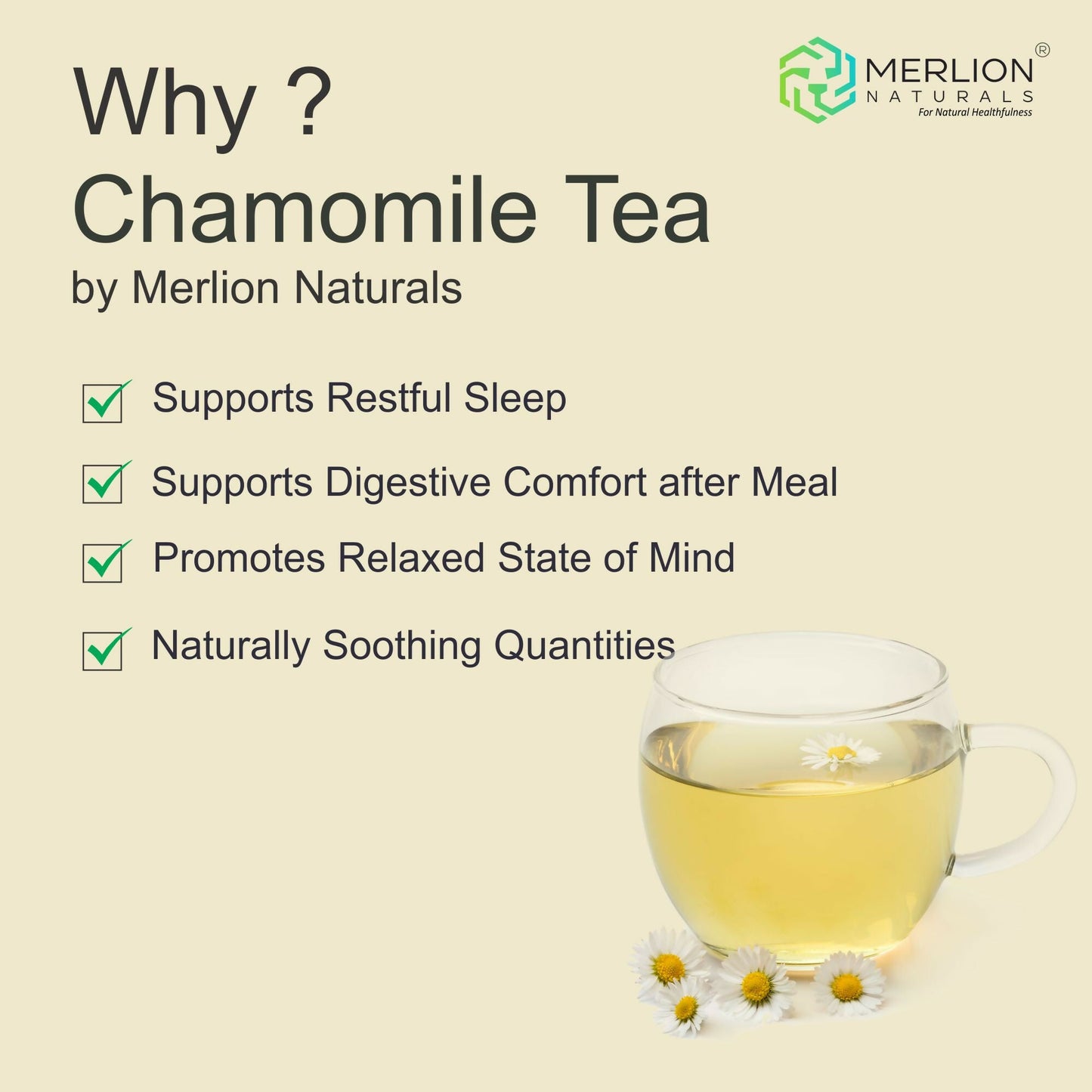 https://cdn.shopify.com/s/files/1/1857/6931/files/vYYkgEQFUA.jpg?v=1755060347