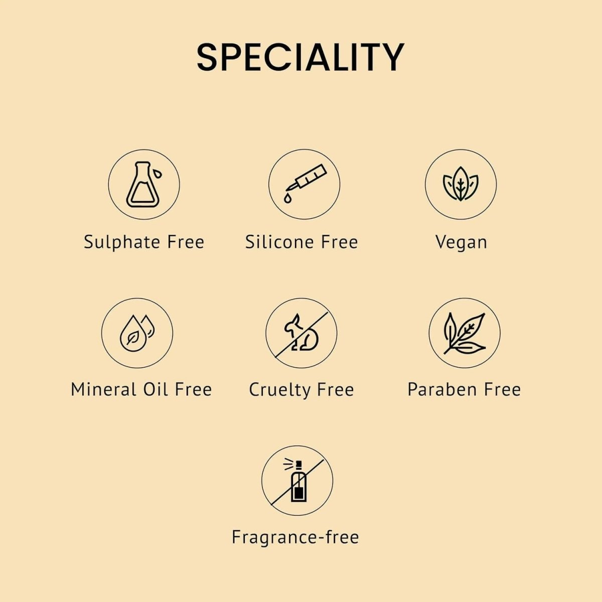 https://cdn.shopify.com/s/files/1/1857/6931/files/vYjmQeWVyq-525153.jpg?v=1736146681