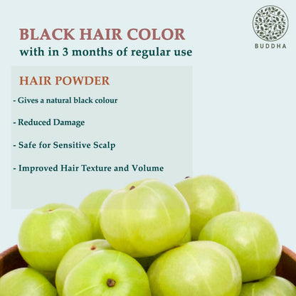 https://cdn.shopify.com/s/files/1/1857/6931/products/va1kPEMtPH.jpg?v=1702633908