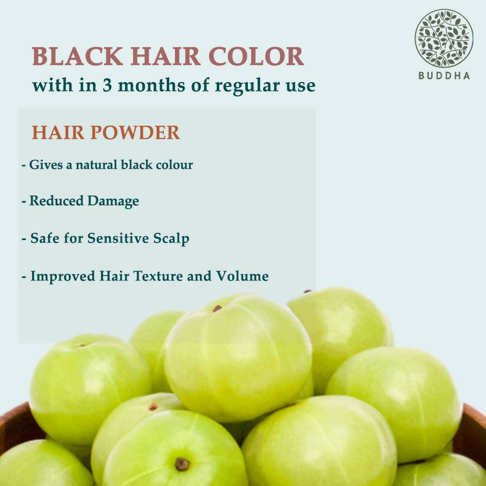 https://cdn.shopify.com/s/files/1/1857/6931/products/va1kPEMtPH.jpg?v=1702633908