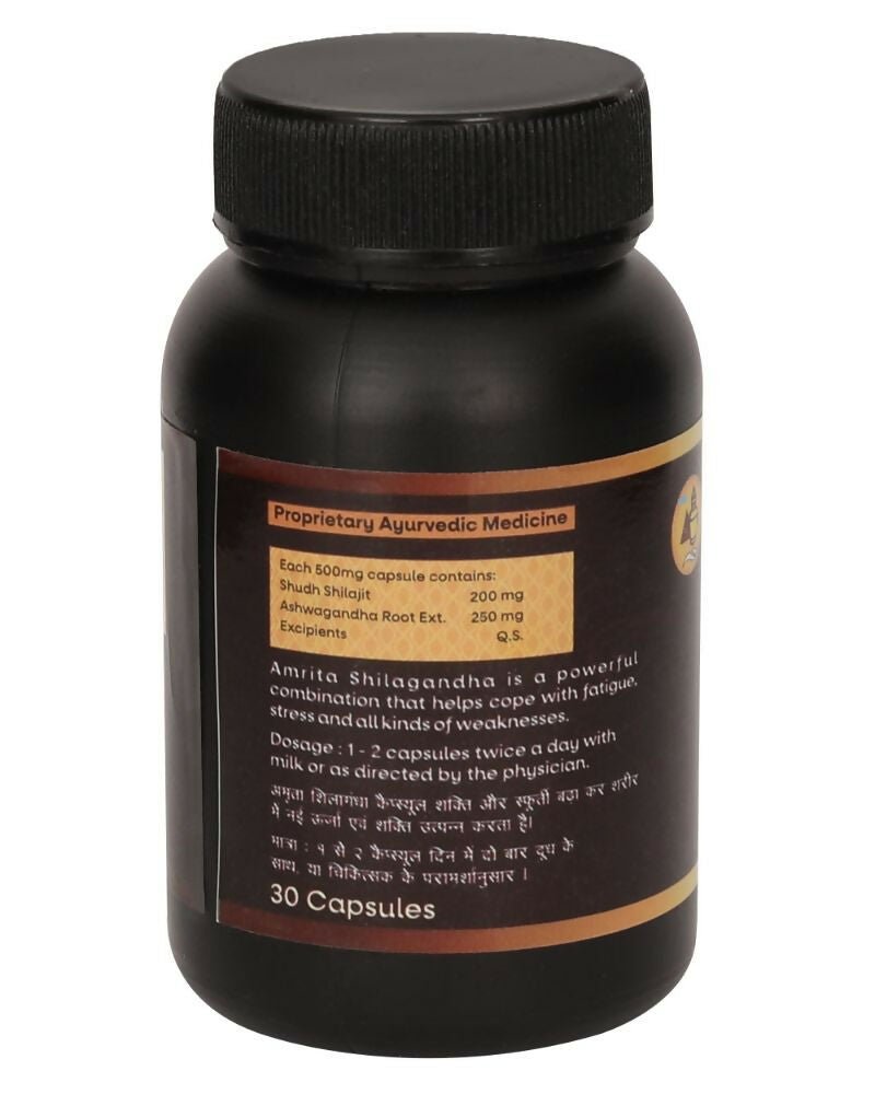 https://cdn.shopify.com/s/files/1/1857/6931/files/vd1FSmmK9s-319008.jpg?v=1736147050