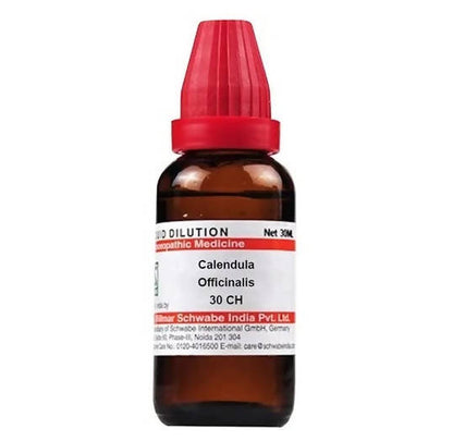 https://cdn.shopify.com/s/files/1/1857/6931/products/vgvLRMRVQp.jpg?v=1641302624