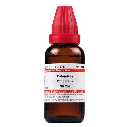 https://cdn.shopify.com/s/files/1/1857/6931/products/vgvLRMRVQp.jpg?v=1641302624