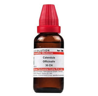 https://cdn.shopify.com/s/files/1/1857/6931/products/vgvLRMRVQp.jpg?v=1641302624
