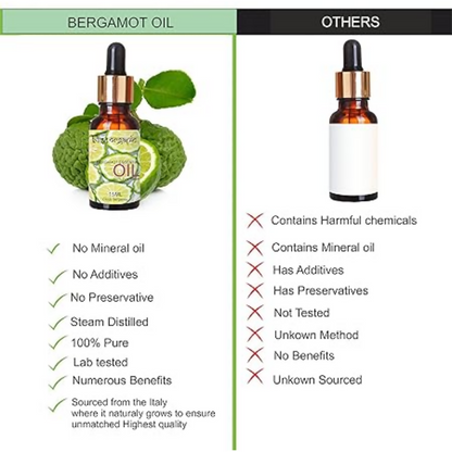 https://cdn.shopify.com/s/files/1/1857/6931/files/vhvFmEEo5y.png?v=1777963461
