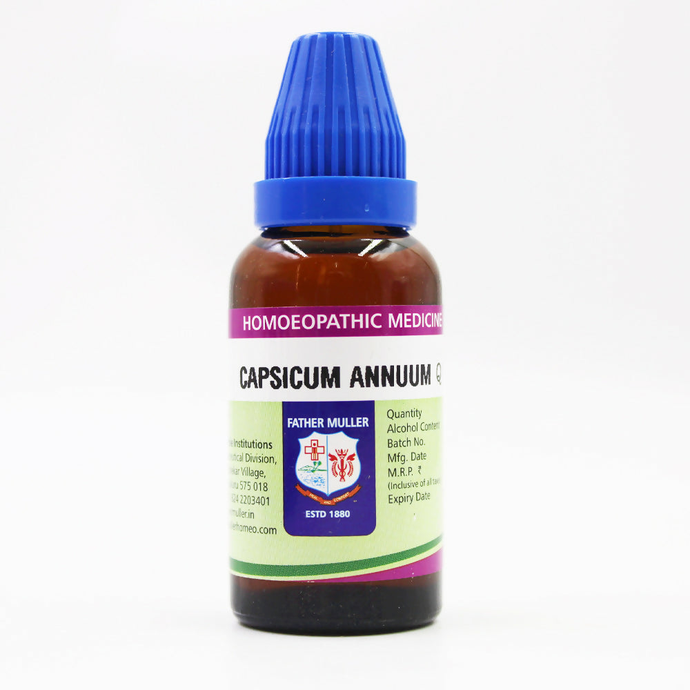 https://cdn.shopify.com/s/files/1/1857/6931/files/vkgg4CjJXr.jpg?v=1718348260