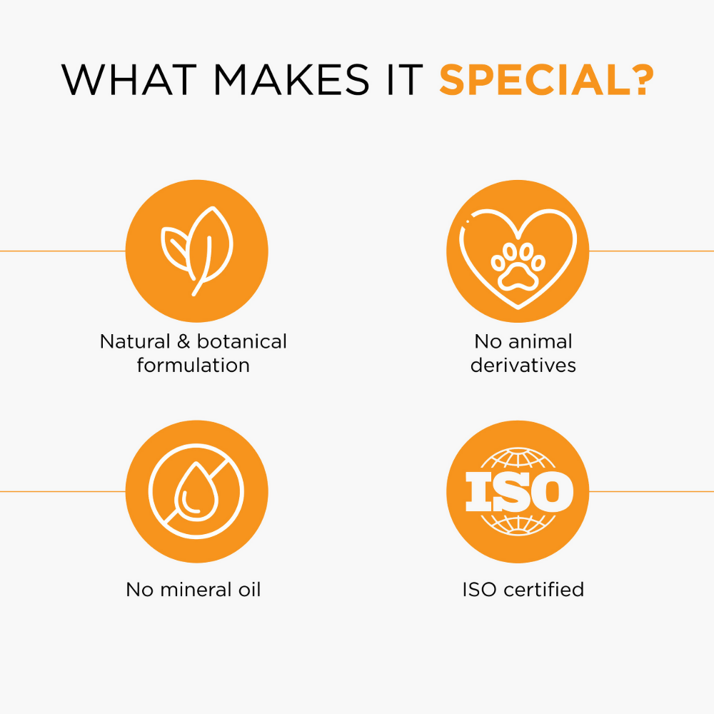 https://cdn.shopify.com/s/files/1/1857/6931/files/vkh27N49JA.png?v=1741853744