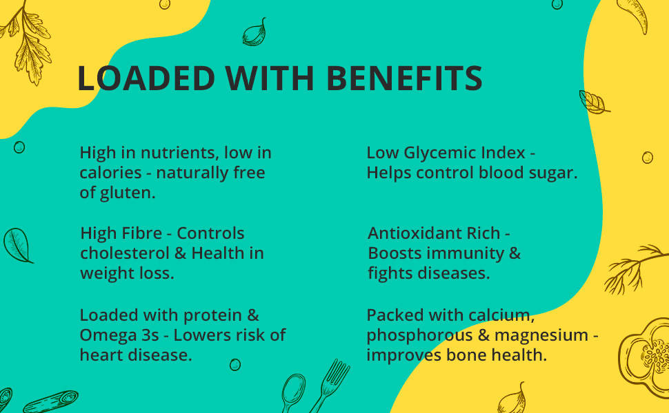 https://cdn.shopify.com/s/files/1/1857/6931/products/vomrBCRatV.jpg?v=1639463696