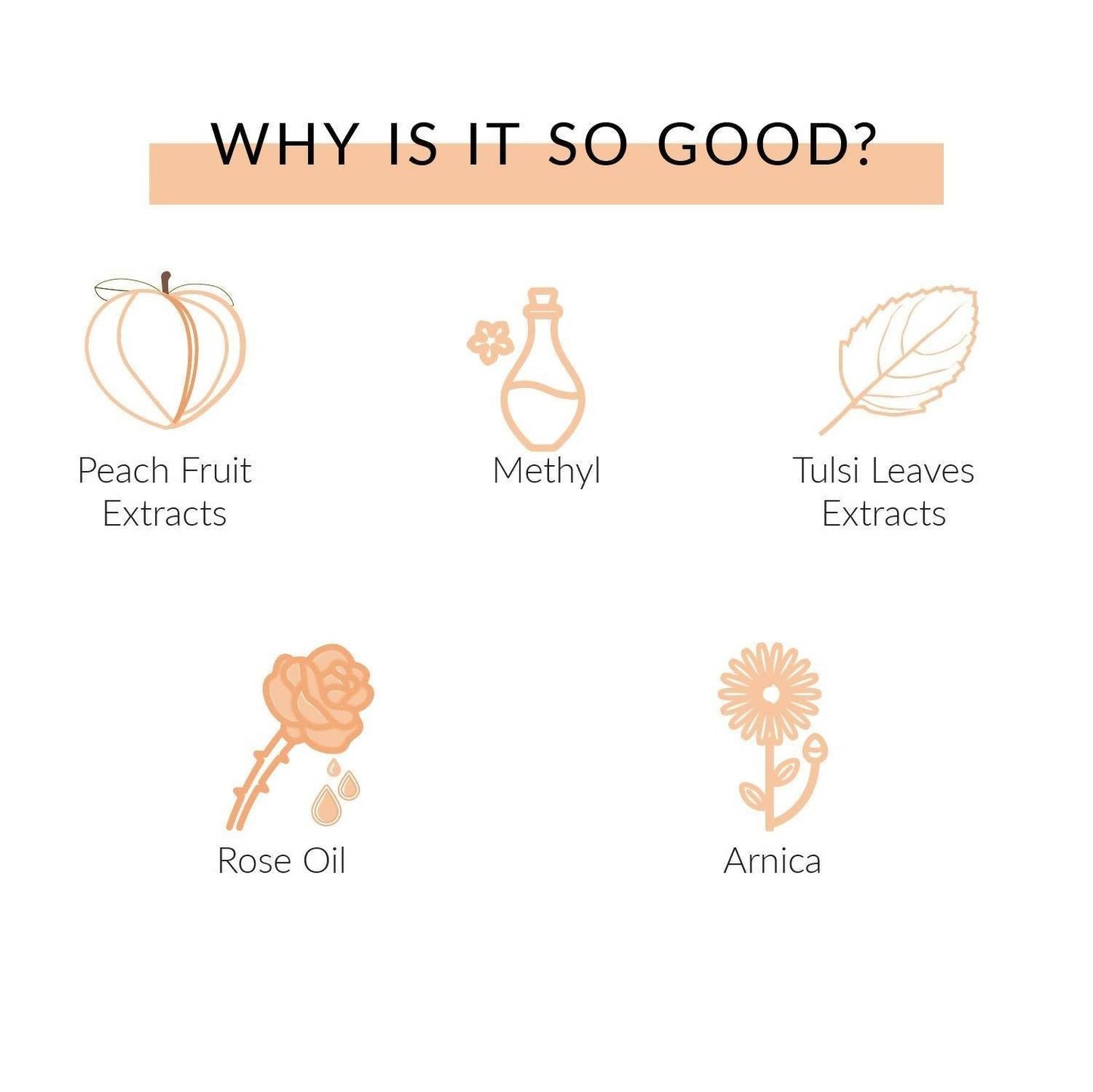 https://cdn.shopify.com/s/files/1/1857/6931/products/vovBY5gXvx.jpg?v=1644383276