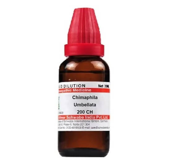 https://cdn.shopify.com/s/files/1/1857/6931/products/vqeO7zRU78.jpg?v=1641293548
