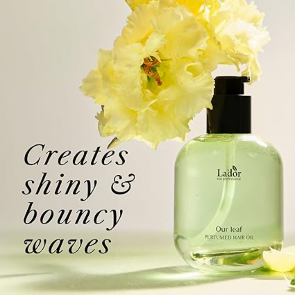 https://cdn.shopify.com/s/files/1/1857/6931/files/vvXSnS6BMz.png?v=1766734656