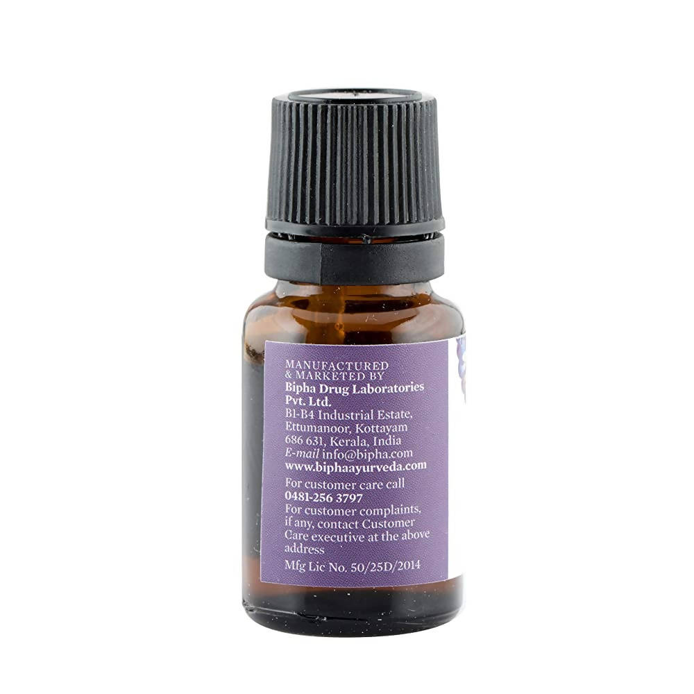 https://cdn.shopify.com/s/files/1/1857/6931/products/vx4KowrNJ6.jpg?v=1657783381