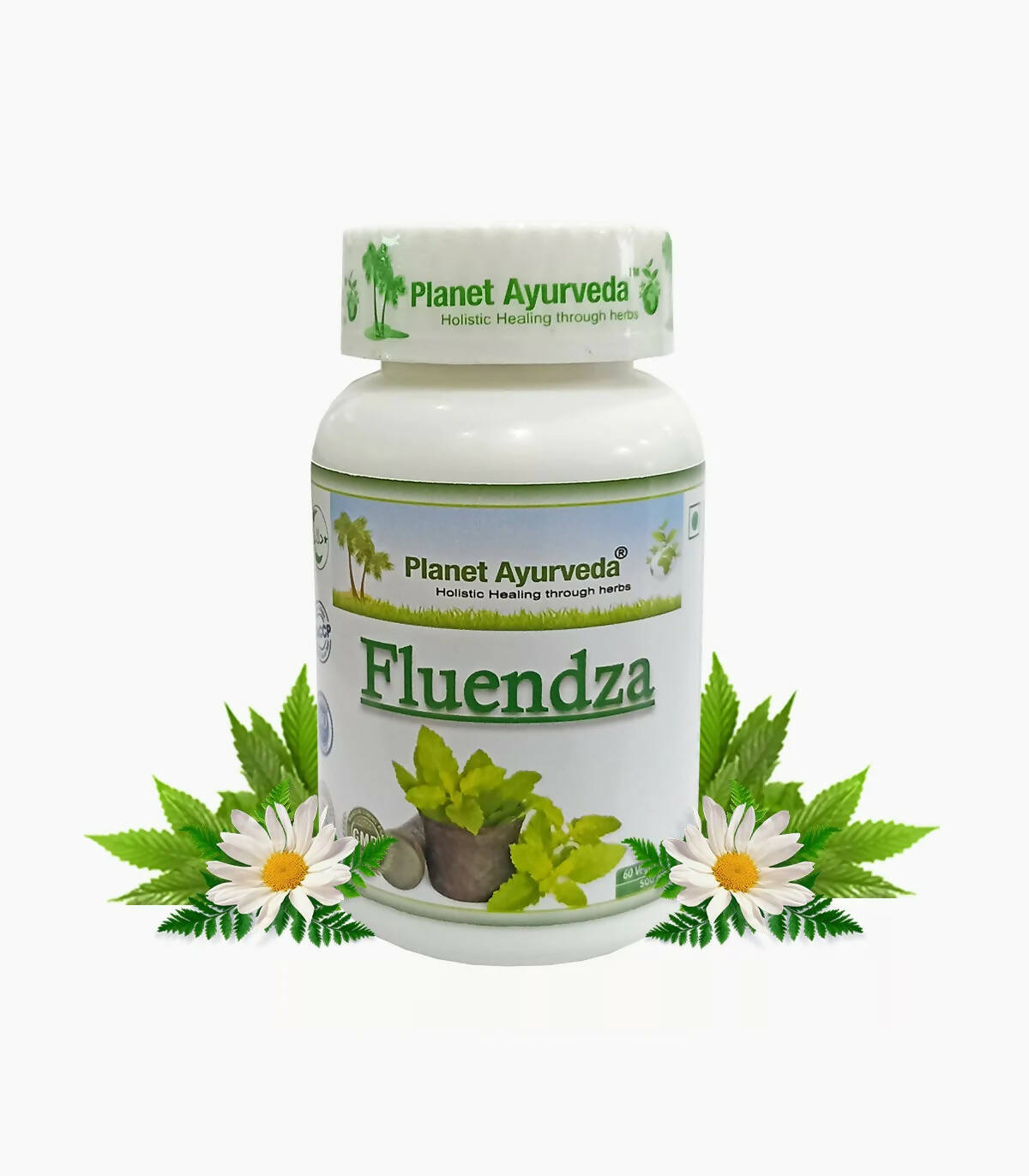 https://cdn.shopify.com/s/files/1/1857/6931/products/vyfoPRDNPO.jpg?v=1762350837
