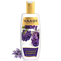 https://cdn.shopify.com/s/files/1/1857/6931/products/vzkq6vmVJf.jpg?v=1617935572