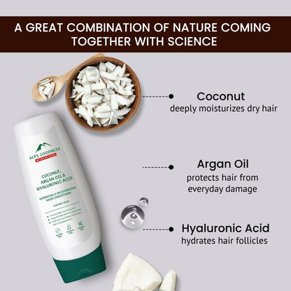 https://cdn.shopify.com/s/files/1/1857/6931/files/w0NnHYZDs6-982539.jpg?v=1736146681