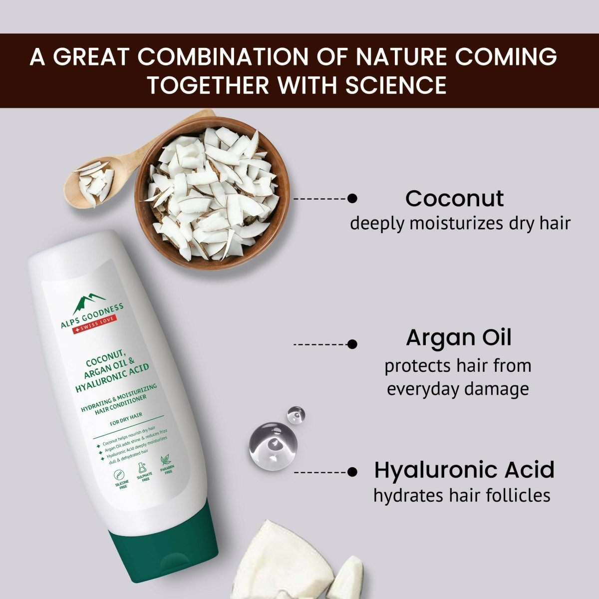 https://cdn.shopify.com/s/files/1/1857/6931/files/w0NnHYZDs6-982539.jpg?v=1736146681