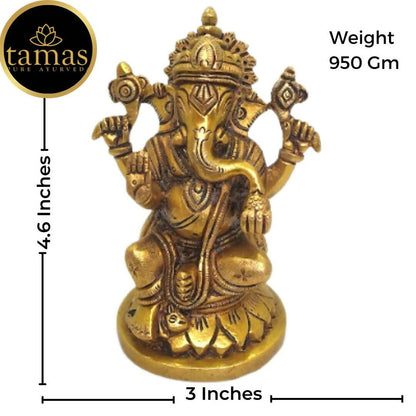 https://cdn.shopify.com/s/files/1/1857/6931/products/w2OGPEMpxi.jpg?v=1681468297
