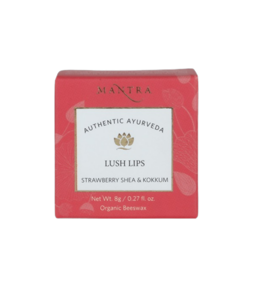 https://cdn.shopify.com/s/files/1/1857/6931/products/w2ReetoWBx.png?v=1691149514