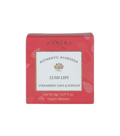 https://cdn.shopify.com/s/files/1/1857/6931/products/w2ReetoWBx.png?v=1691149514