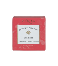 https://cdn.shopify.com/s/files/1/1857/6931/products/w2ReetoWBx.png?v=1691149514