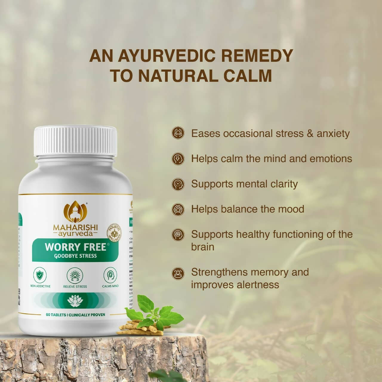 https://cdn.shopify.com/s/files/1/1857/6931/products/w5dF9AiHfc.jpg?v=1683871078