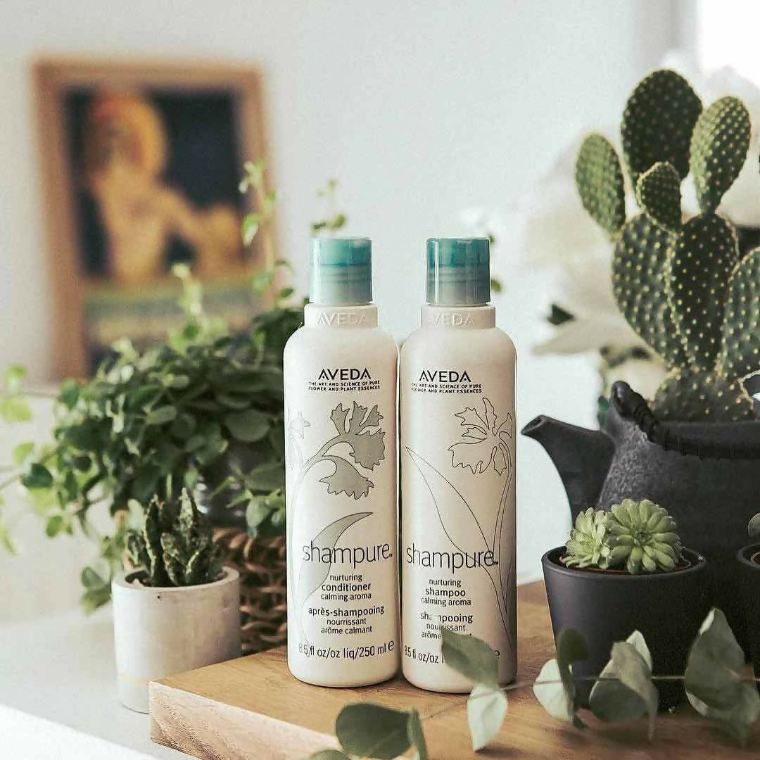 https://cdn.shopify.com/s/files/1/1857/6931/files/w6XvkCtXsh-907559.jpg?v=1736150302
