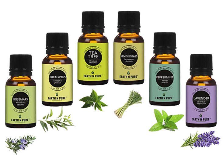https://cdn.shopify.com/s/files/1/1857/6931/products/w7CK6c7R8I.jpg?v=1646214336