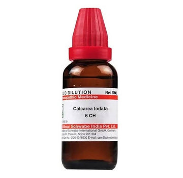 https://cdn.shopify.com/s/files/1/1857/6931/products/w97lC1QMZL.jpg?v=1641365575