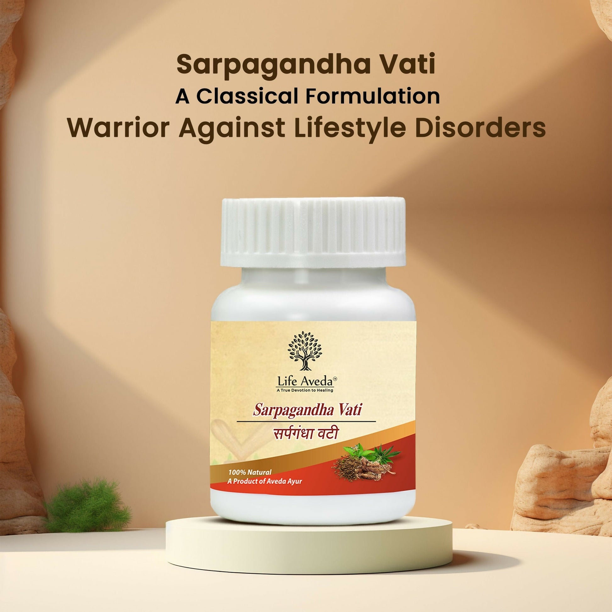 https://cdn.shopify.com/s/files/1/1857/6931/files/w9oQpTtCHd.jpg?v=1720590869