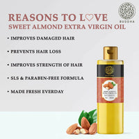 https://cdn.shopify.com/s/files/1/1857/6931/products/wB1MpH4ADJ.jpg?v=1677662003