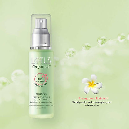 https://cdn.shopify.com/s/files/1/1857/6931/products/wC9cJnFNv2.jpg?v=1648461084