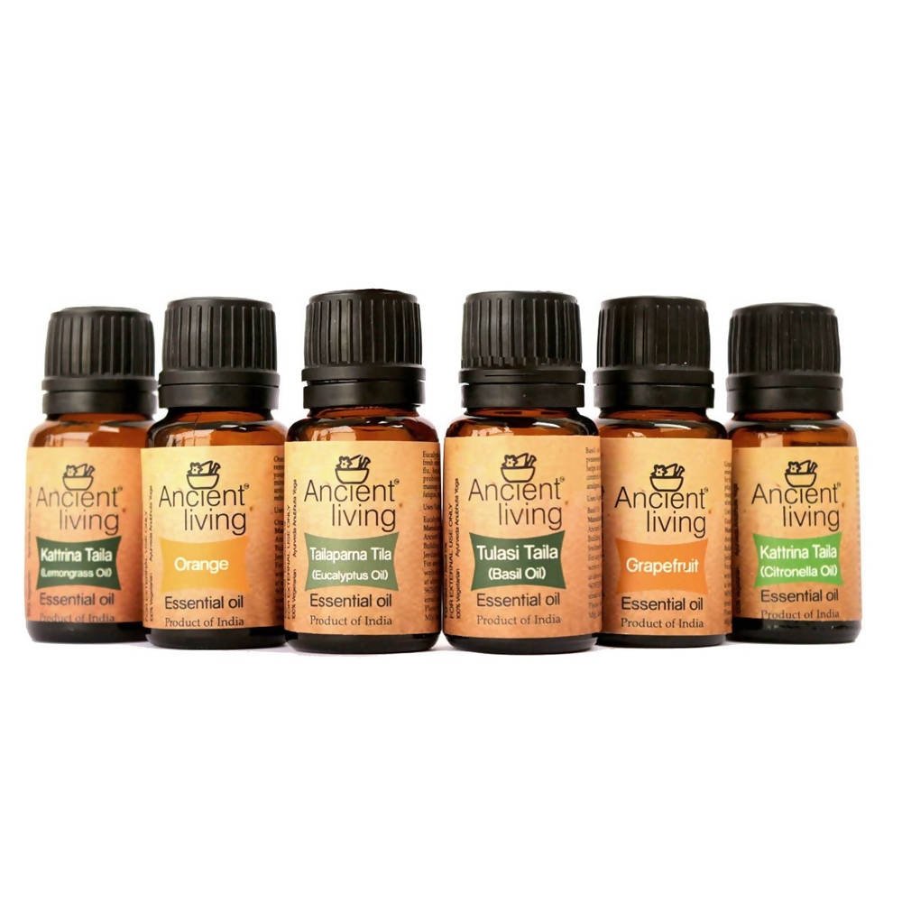 https://cdn.shopify.com/s/files/1/1857/6931/files/wEHHGkAdNU-906105.jpg?v=1736147405