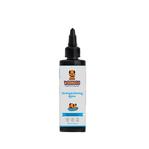 https://cdn.shopify.com/s/files/1/1857/6931/files/wHx7r2I6ob.png?v=1784295693
