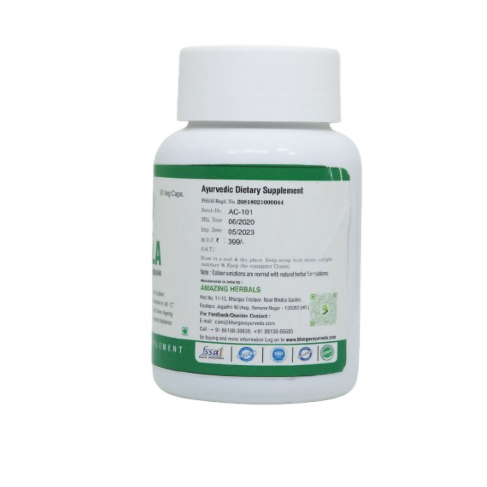 https://cdn.shopify.com/s/files/1/1857/6931/files/wI2kGggVfM.png?v=1735215863