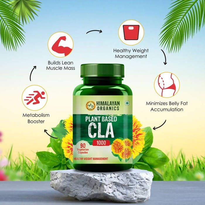 https://cdn.shopify.com/s/files/1/1857/6931/products/wL63HdLiOc.jpg?v=1627007822