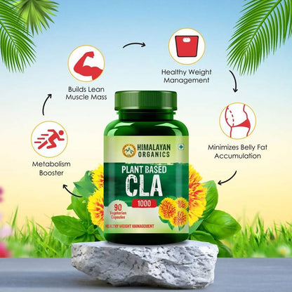 https://cdn.shopify.com/s/files/1/1857/6931/products/wL63HdLiOc.jpg?v=1627007822