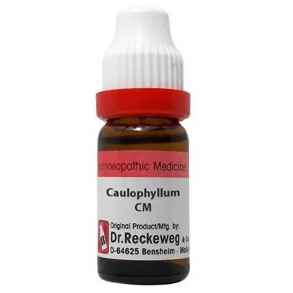 https://cdn.shopify.com/s/files/1/1857/6931/products/wM21CPUNgL.jpg?v=1657177657