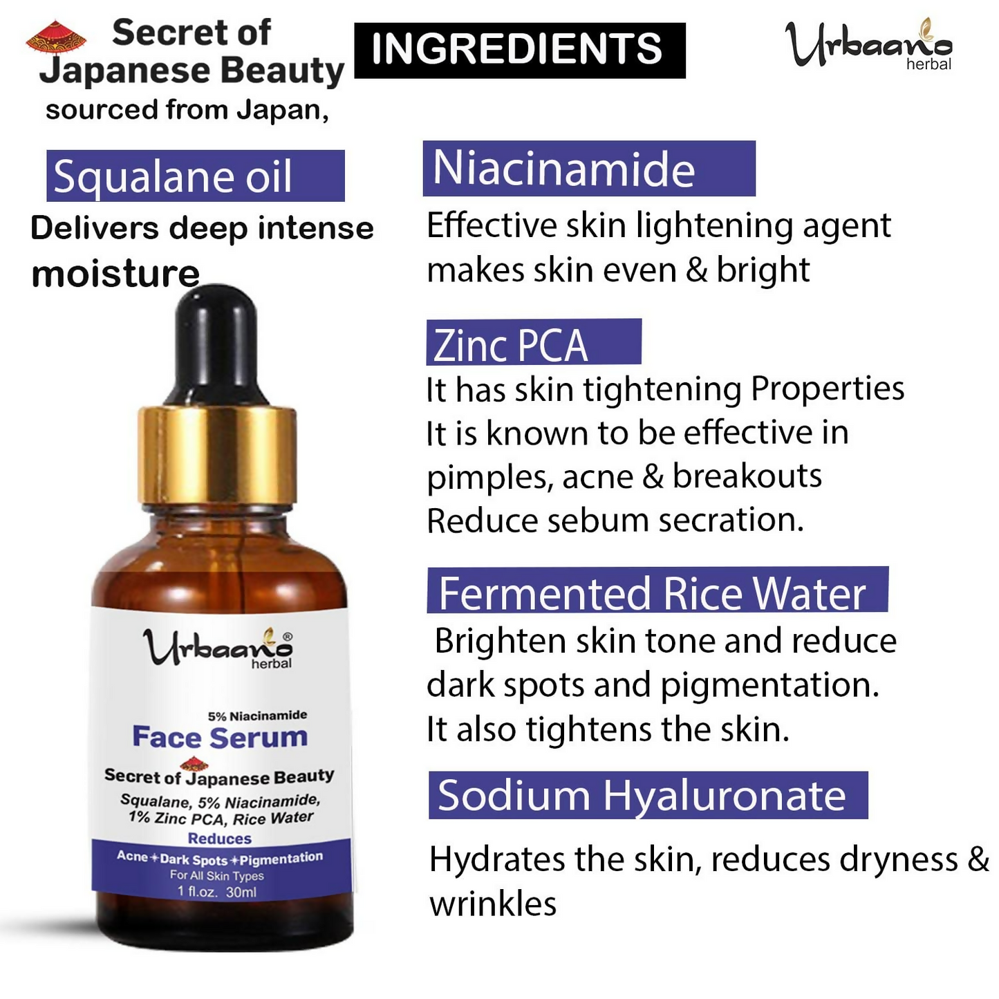 https://cdn.shopify.com/s/files/1/1857/6931/files/wM53qrUlnH.png?v=1746506383