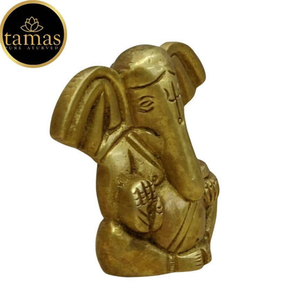 https://cdn.shopify.com/s/files/1/1857/6931/products/wNQX7ttik5.jpg?v=1681466175