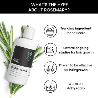 https://cdn.shopify.com/s/files/1/1857/6931/files/wO8ARcyQbG.jpg?v=1713789686