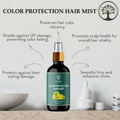 https://cdn.shopify.com/s/files/1/1857/6931/files/wQ0f1h6OSl.jpg?v=1717672060