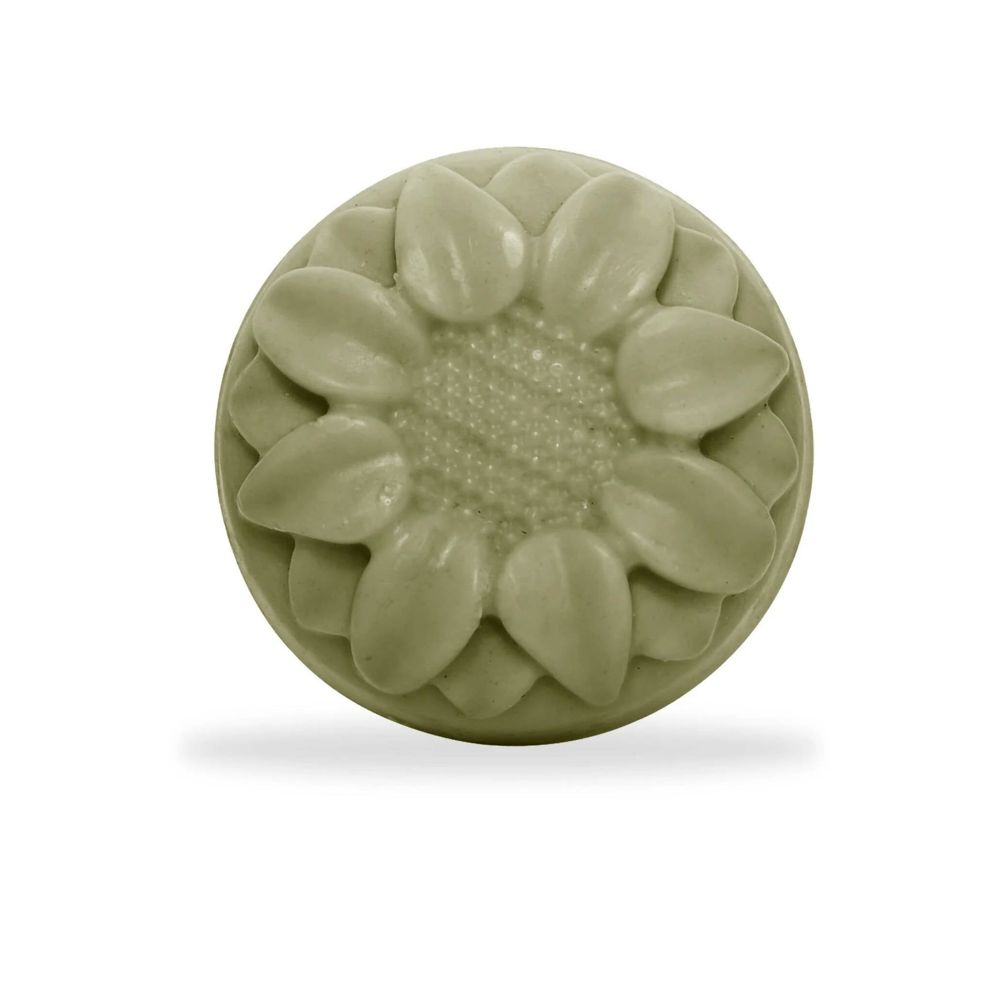 https://cdn.shopify.com/s/files/1/1857/6931/products/wS7PNWVPCA.jpg?v=1680848824