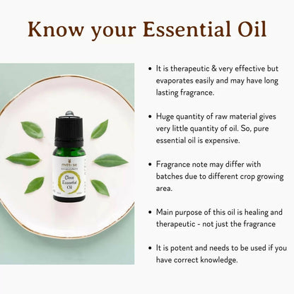 https://cdn.shopify.com/s/files/1/1857/6931/products/wTBvFbEdzj.jpg?v=1670581880